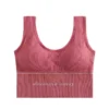alaxendre sports bra