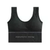alaxendre sports bra